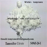 Tamoxifen Citrate Nolvadex Anti Østrogen Steroider Råpulver Brystkreftbehandling