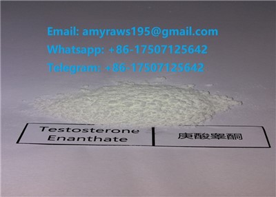 Leverandør av steroid råpulver Testo Enan for kroppsbygging med innenriks frakt i USA, EU og Canada