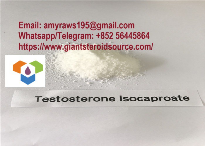 Raw Testosterone Isocaproate Steroid Powder Supplier 15262-86-9