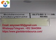 Steroid Liquid Equiposie Boldenone Undecylenate