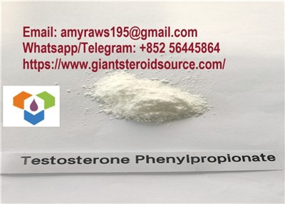 Test Phenylpropionate Steroid Hormoen Råpulver Testosteron Phenylpropionate Factory med høy renhet