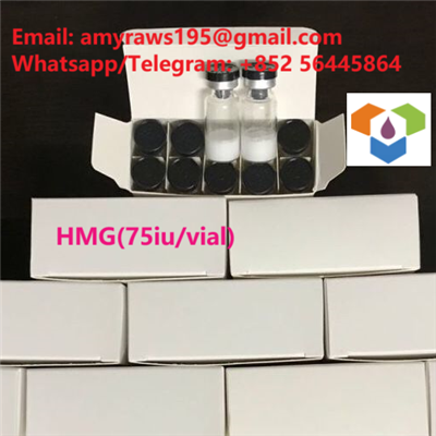 Peptider med høy renhet HMG