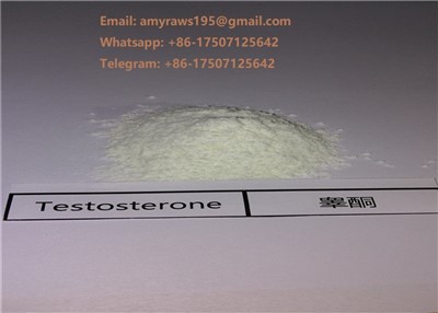 Testosteronpulver
